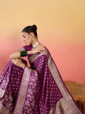 Wine Vaati Saree